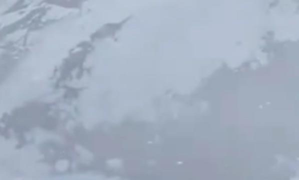 荒野大镖客2狼群怎么打