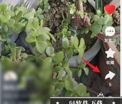 快手极速版如何删除自己视频