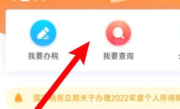 怎么查询个人申报税额