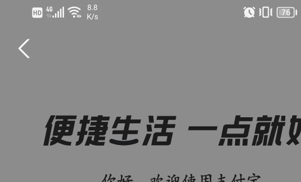 支付宝怎么用手机登录