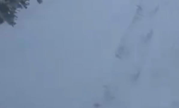 荒野大镖客2狼群怎么打