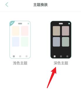 岁时小记如何切换深色主题