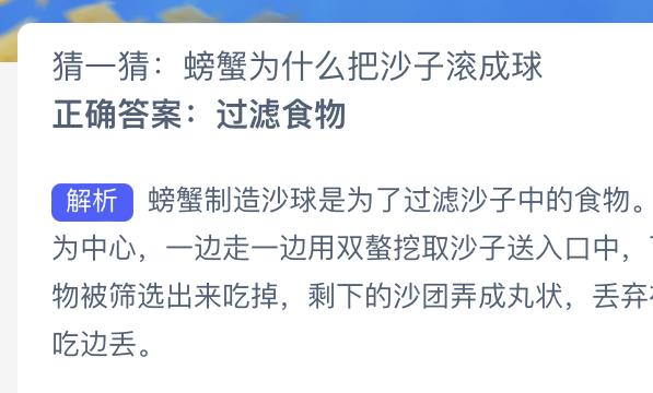 神奇海洋:猜一猜螃蟹为什么把沙子滚成球