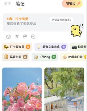黄油相机在哪查看通知消息