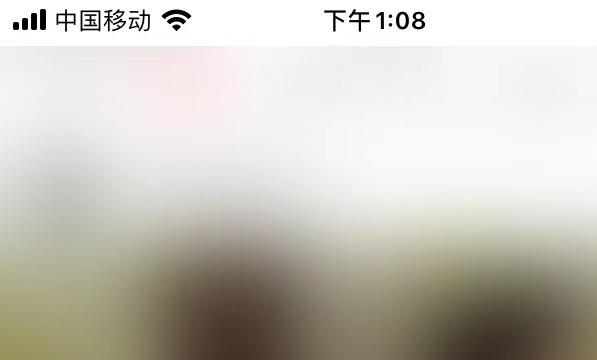 皮皮虾启用夜间模式位置