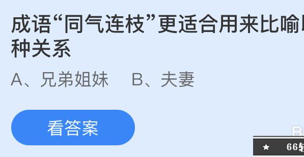 蚂蚁庄园:成语同气连枝更适合用来比喻以下哪种