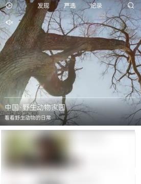 飞观怎么去进行意见反馈