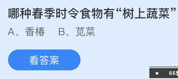 蚂蚁庄园:哪种春季时令食物有树上蔬菜之称