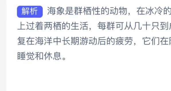 神奇海洋:海洋动物中有瞌睡大王之称的是