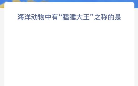 神奇海洋:海洋动物中有瞌睡大王之称的是