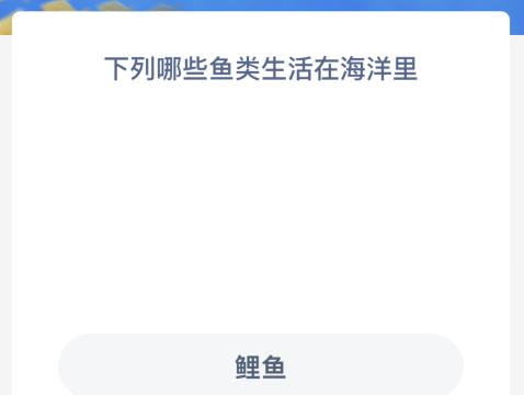 神奇海洋:下列哪些鱼类生活在海洋里