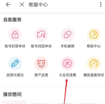 哔哩哔哩大会员如何续费