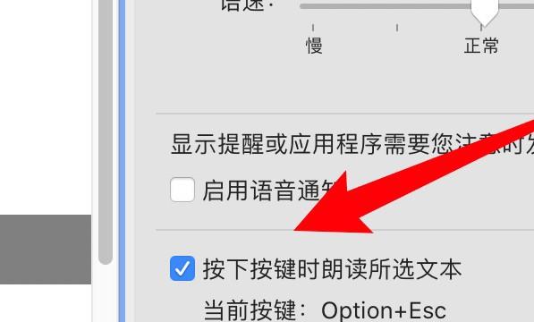 mac电脑怎么开启朗读所选文本的功能