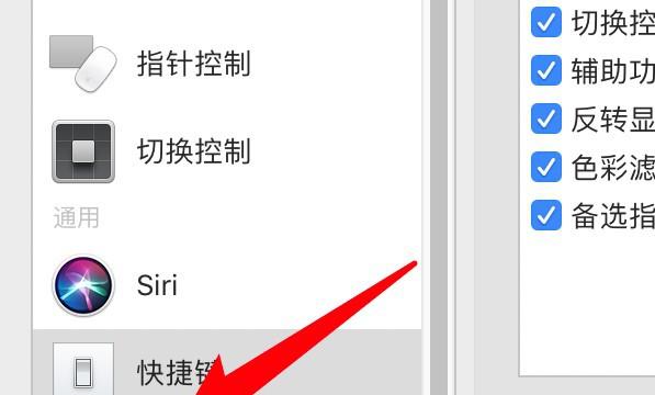 mac怎么设置在菜单栏显示辅助功能状态