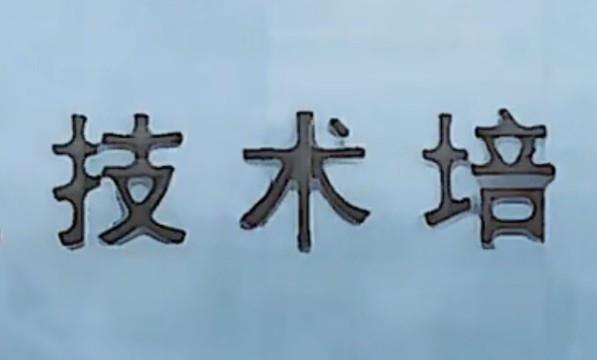 大多数怎么上职业培训课