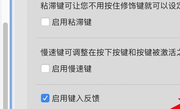 mac电脑怎么设置键入反馈回显字词