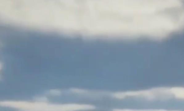 荒野大镖客2怎么看动物星级