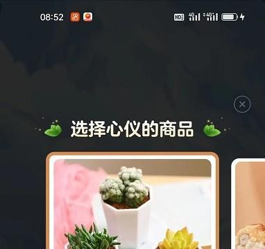 盒马小镇首次种盒花的步骤