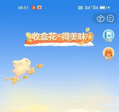盒马小镇首次种盒花的步骤
