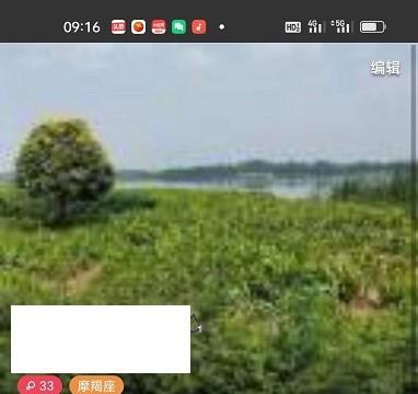 颤抖直播查看直播提现说明的步骤