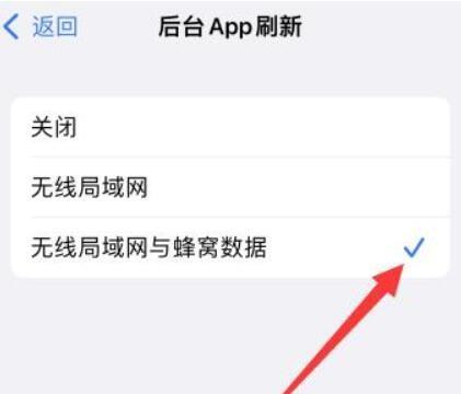 iphone12找不到蜂窝数据选项