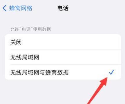 iPhone13怎么设置通话不断网