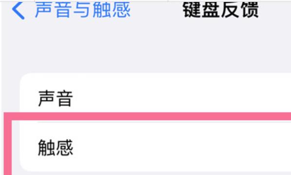 iPhone14 Pro键盘触觉反馈如何关闭