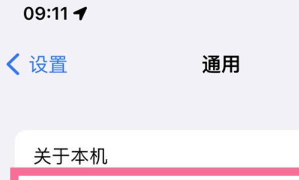 iPhone14 Pro怎么关闭自动更新
