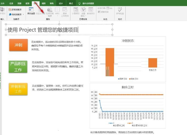 project2019破解版截图13