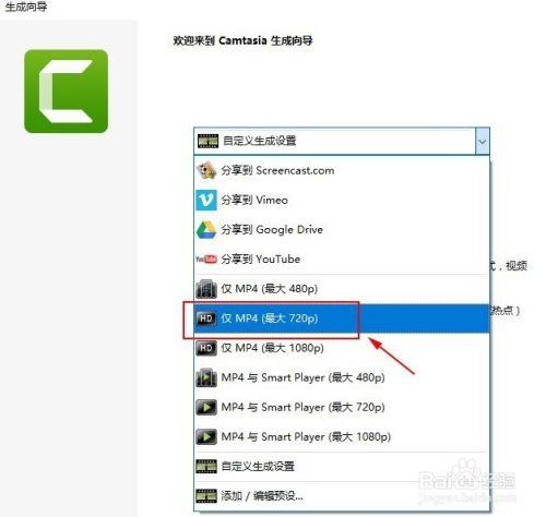 camtasia9破解版百度云截图10