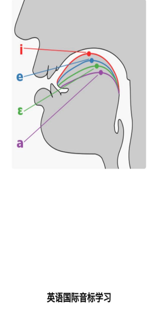 英语国际音标学习安卓_英语国际音标学习下载v1.3.4