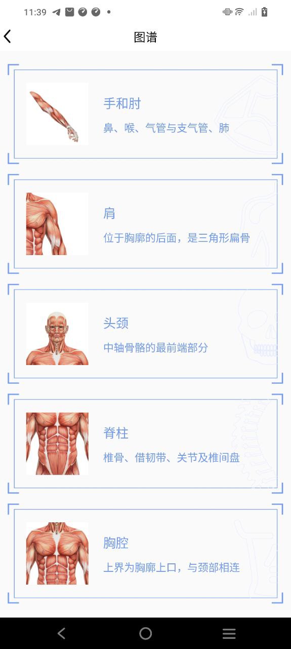 最新版本人体3D解剖图谱_免费下载人体3D解剖图谱v2.4.0