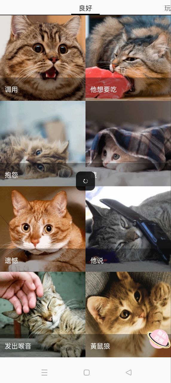 我的猫猫狗狗翻译器