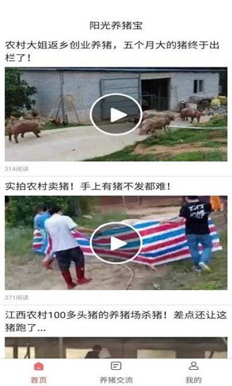 阳光养猪宝app下载免费下载_阳光养猪宝平台app纯净版v1.0.0