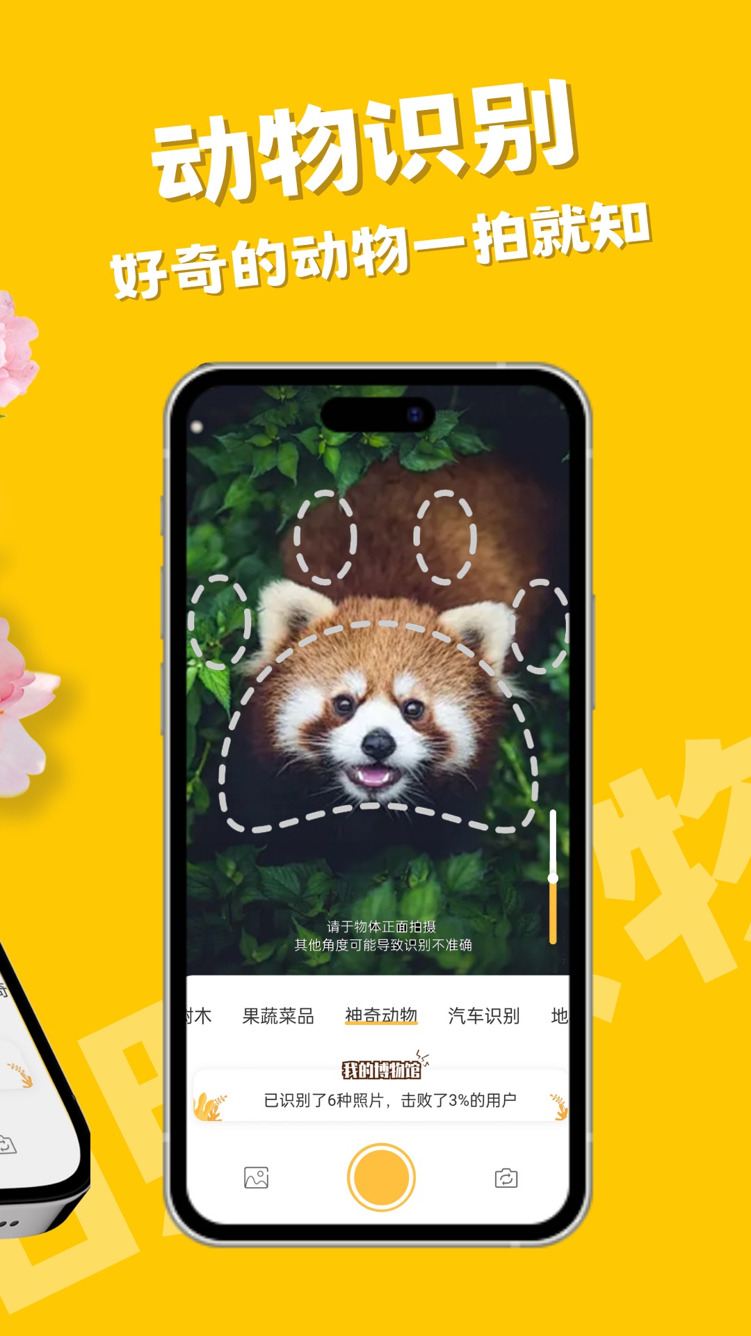 拍照识物app免费版_下载拍照识物免费v1.1.5