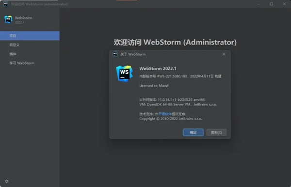 Webstorm2022.1永久