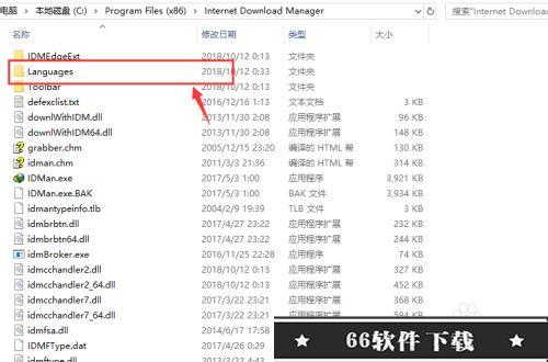 idm下载器特别版怎么设置中文6