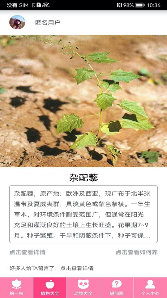 拍照识物下载_拍照识物app下载安卓最新版