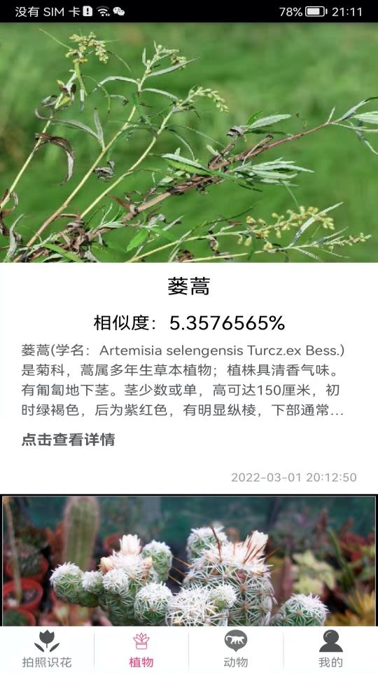 拍照识花神器下载_拍照识花神器app下载安卓最新版