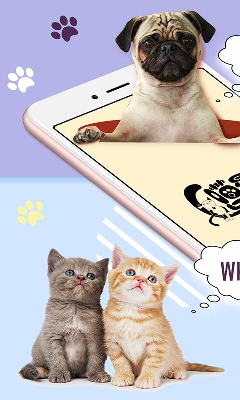 猫狗语翻译器下载_猫狗语翻译器app下载安卓最新版