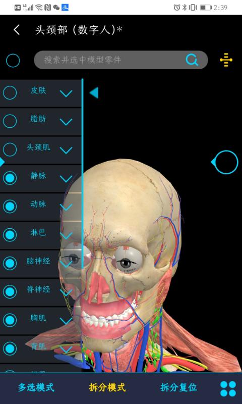 医维度解剖下载_医维度解剖app下载安卓最新版