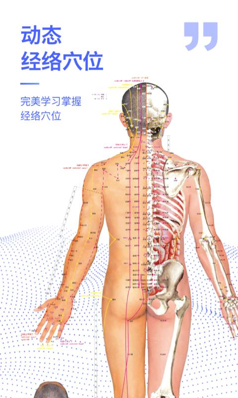 人体3D解剖图谱下载_人体3D解剖图谱app下载安卓最新版