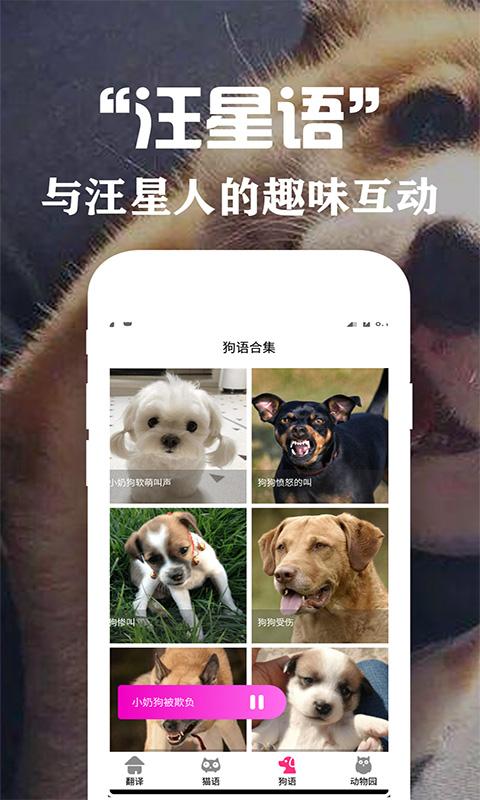 狗语翻译交流器下载_狗语翻译交流器app下载安卓最新版