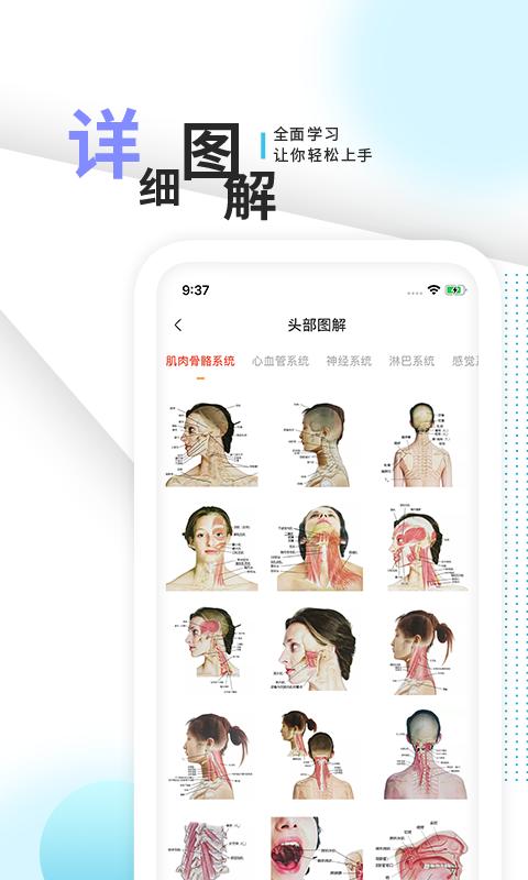 3d人体解剖学三维图谱下载_3d人体解剖学三维图谱app下载安卓最新版