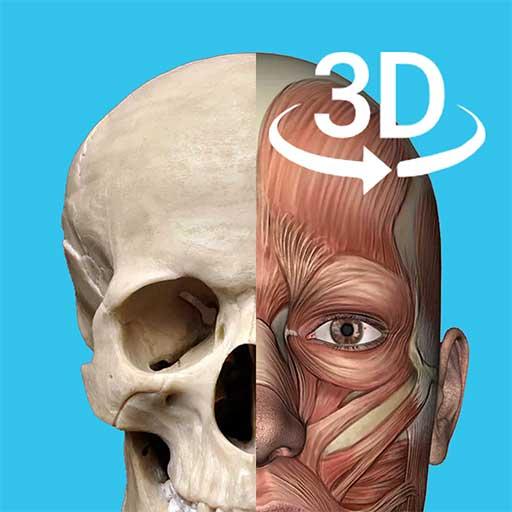 3d人体解剖学三维图谱下载_3d人体解剖学三维图谱app下载安卓最新版