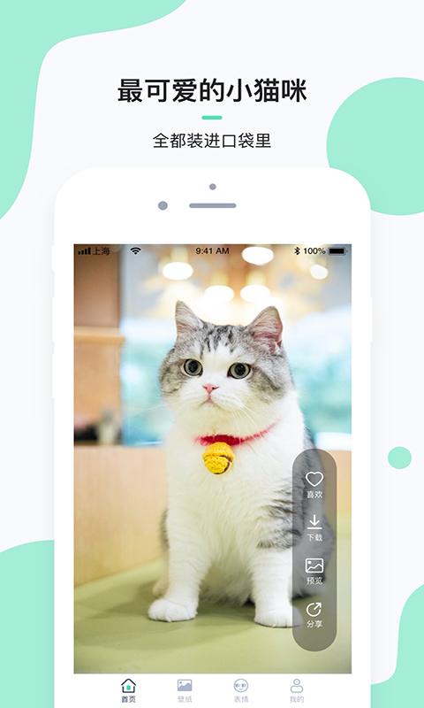 每日一猫下载_每日一猫app下载安卓最新版