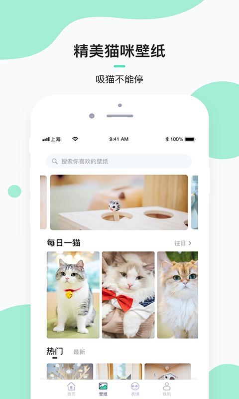 每日一猫下载_每日一猫app下载安卓最新版