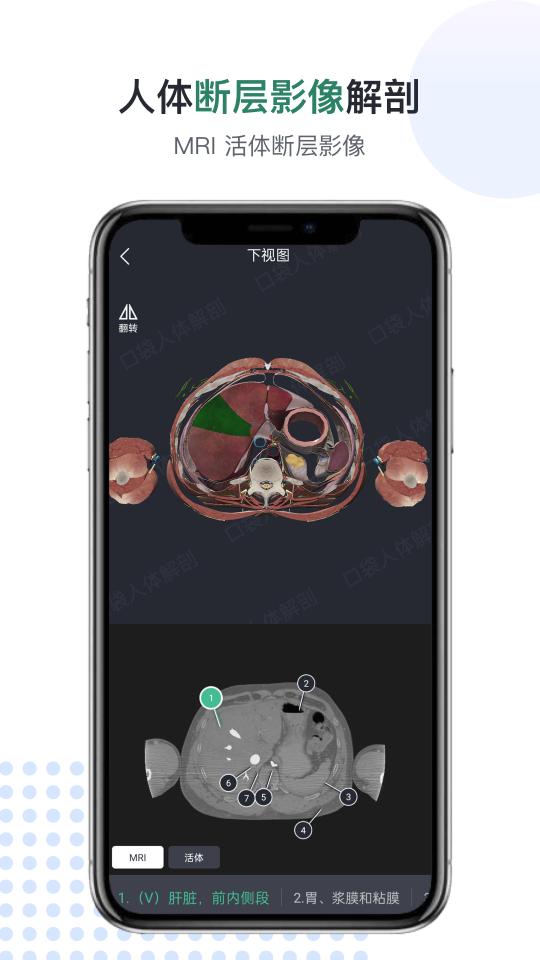口袋人体解剖下载_口袋人体解剖app下载安卓最新版