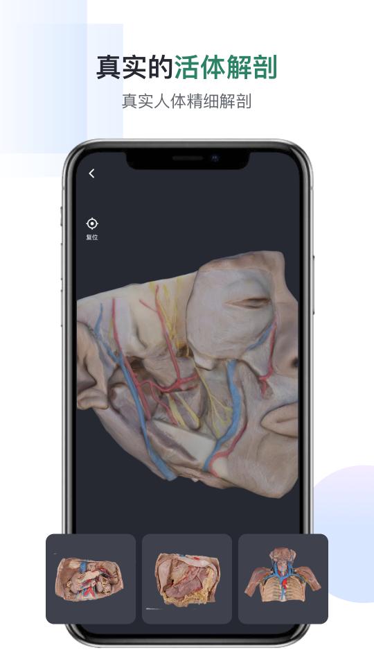 口袋人体解剖下载_口袋人体解剖app下载安卓最新版