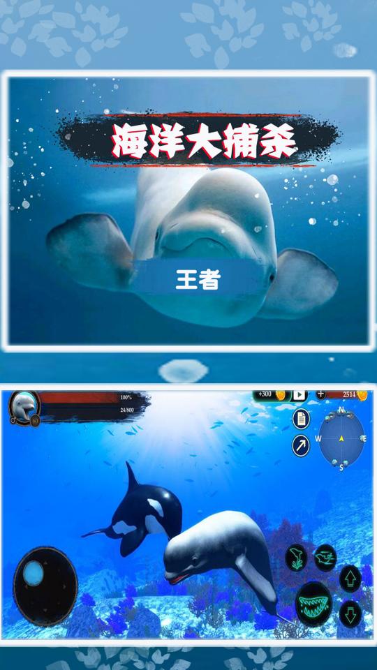 海洋大捕杀下载_海洋大捕杀app下载安卓最新版